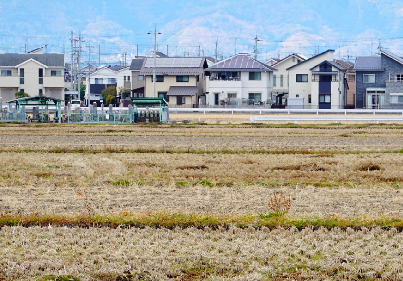 募集管理の写真